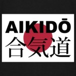 aikido-Felpe